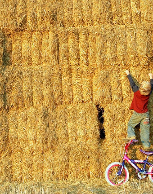 «Я не знаю»: как научить обращаться за помощью