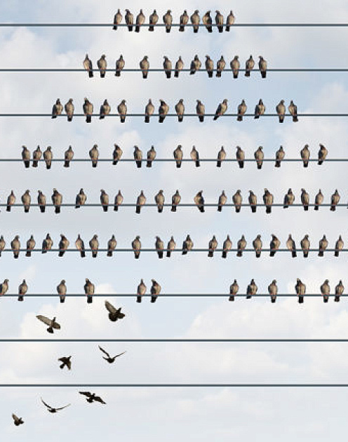 Где взять нужные кадры, если на рынке их нет