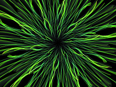 Лидеры тоже тревожатся