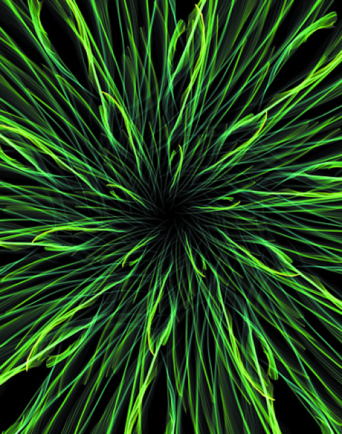 Лидеры тоже тревожатся