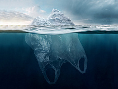 «У нас осталось примерно 12 лет»