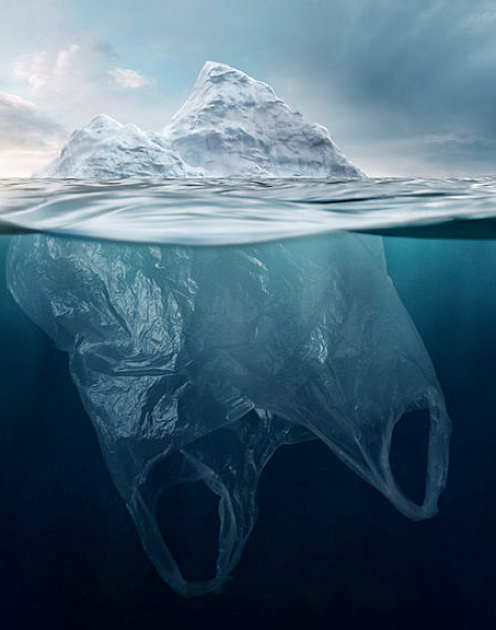 «У нас осталось примерно 12 лет»