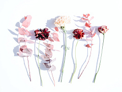 Как использовать эстетический интеллект в бизнесе