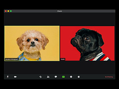 Как нужно одеваться для виртуальных совещаний