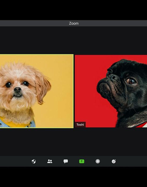 Как нужно одеваться для виртуальных совещаний