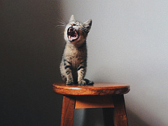 Что делать с теми, кто постоянно жалуется