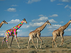 Три простых шага для укрепления инновационного духа