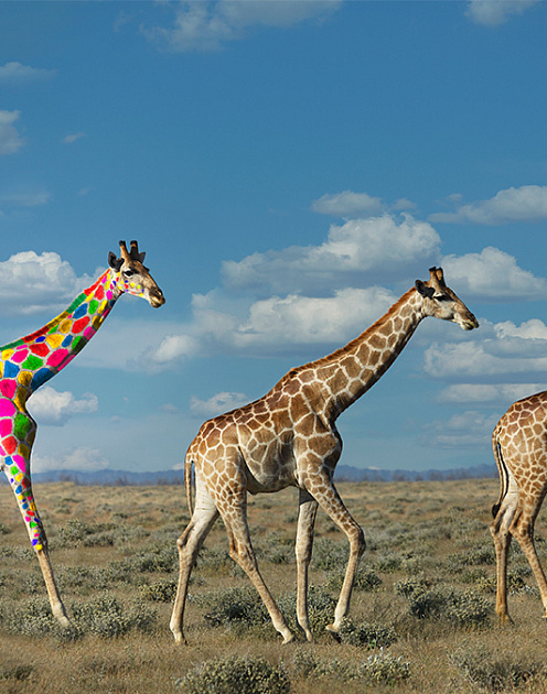 Три простых шага для укрепления инновационного духа