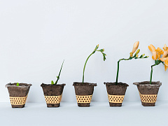 Десять вопросов об ESG для вашей компании