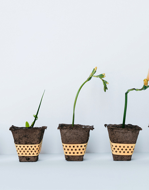 Десять вопросов об ESG для вашей компании