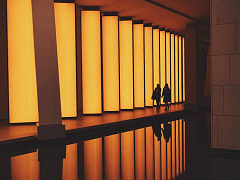 Сотрудники будущего: где найти и чему учить