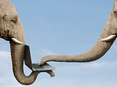 Продажи в цифровую эпоху: четыре шага к успеху