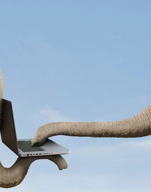 Продажи в цифровую эпоху: четыре шага к успеху