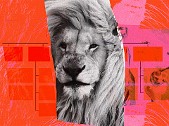 Что делать, если новая команда относится к вам настороженно