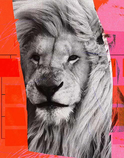 Что делать, если новая команда относится к вам настороженно