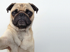 Почему компании используют инфлюенсеров неправильно