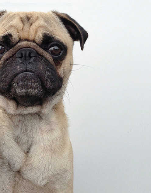 Почему компании используют инфлюенсеров неправильно