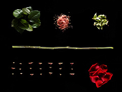 Как масштабировать самоуправляемую компанию: опыт «северной Кремниевой долины»