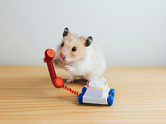 Как и зачем задавать «неудобные» вопросы