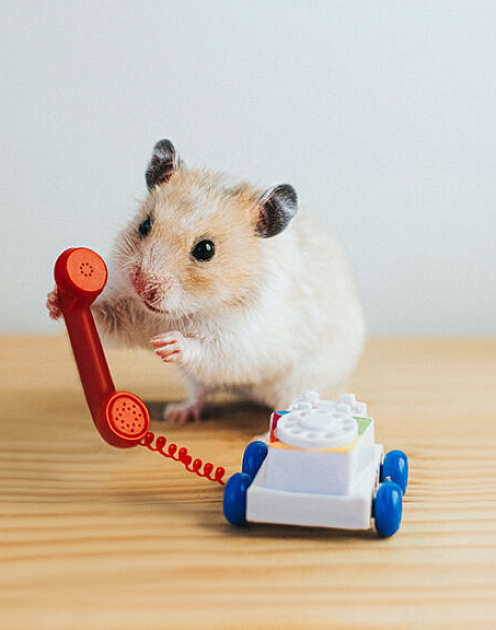 Как и зачем задавать «неудобные» вопросы