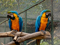 Разговор под напряжением: как добиться своего и не перессориться