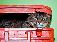 Начинайте готовиться к отпуску