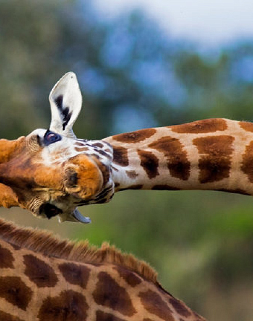 Что делать, если дружба с коллегой мешает работе