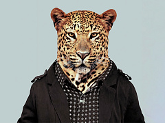 Не лидер, а координатор