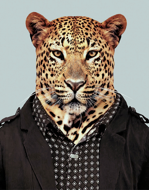 Не лидер, а координатор