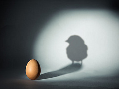 Идеи Y: как миллениалы могут помочь в управлении бизнесом