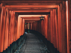 Польза одиночества