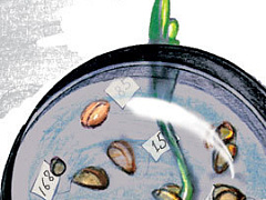 Запомните эту мысль