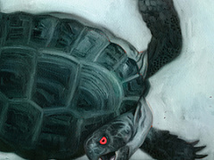 Отсутствие власти развращает