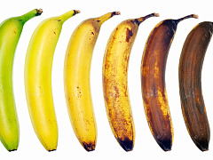 Как увеличить продуктивность на фоне глобального старения рабочей силы