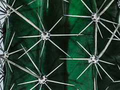 Что делать, когда клиент нервничает