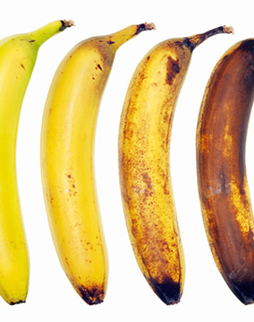 Как увеличить продуктивность на фоне глобального старения рабочей силы