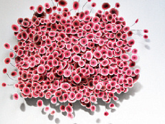 За природу — всем миром