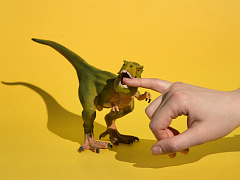 Четыре совета, которые помогут справиться с гневом и обидами сотрудников