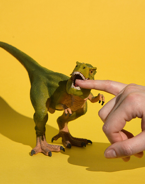 Четыре совета, которые помогут справиться с гневом и обидами сотрудников