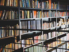 В поисках идей: октябрьский выпуск