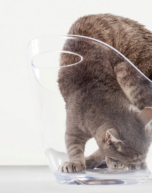 Что движет вашим любопытством?