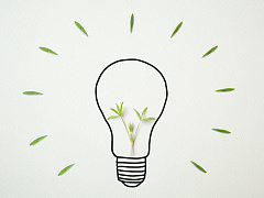 Сила экосистемы: что поможет корпорациям во время кризиса