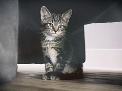 Не бойтесь похвалы: как стать еще лучше, замечая свои лучшие качества