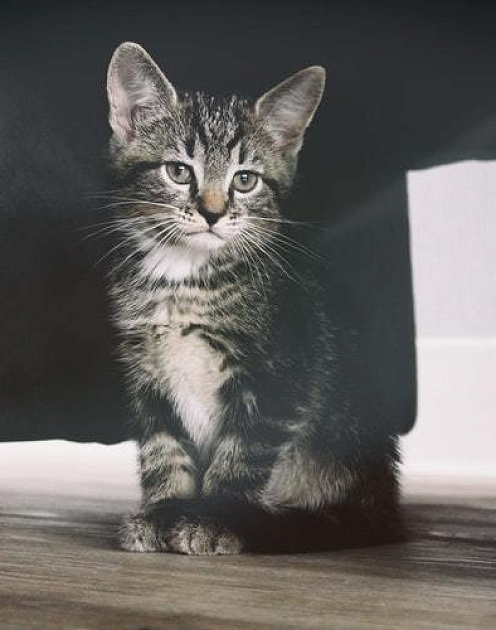 Не бойтесь похвалы: как стать еще лучше, замечая свои лучшие качества