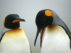 «Это провал!»: как восстановиться после крупной неудачи