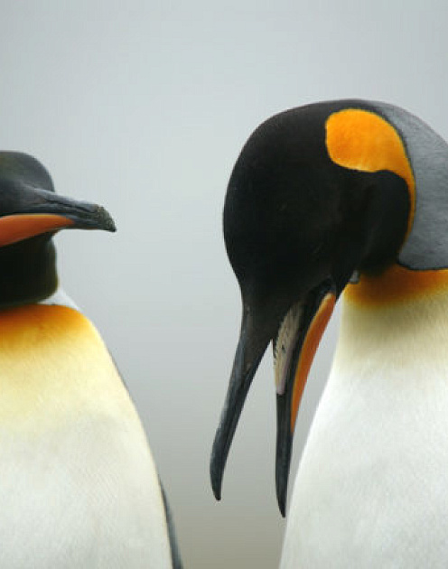 «Это провал!»: как восстановиться после крупной неудачи