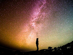 Есть ли польза от научных работ по менеджменту?