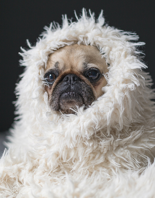 Как мотивировать лучших из лучших в сложные времена