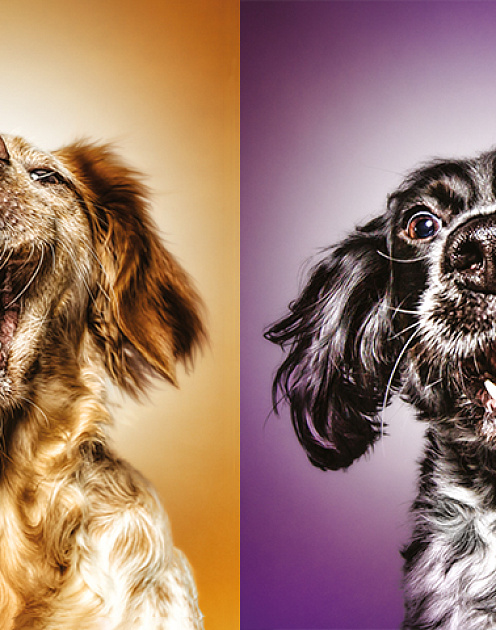 Индекс потребительской лояльности 3.0