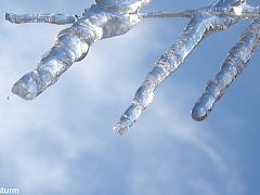 Хотите научиться думать?